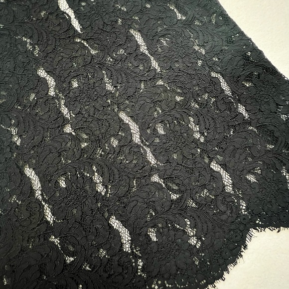 Aritzia Wilfred Black Lace Silk Trim Sleeveless Sheer Blouse XS Romantic Elegant - Picture 10 of 15